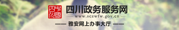 网上办事